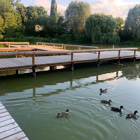 Altstadtloft Straubing Bagian luar foto