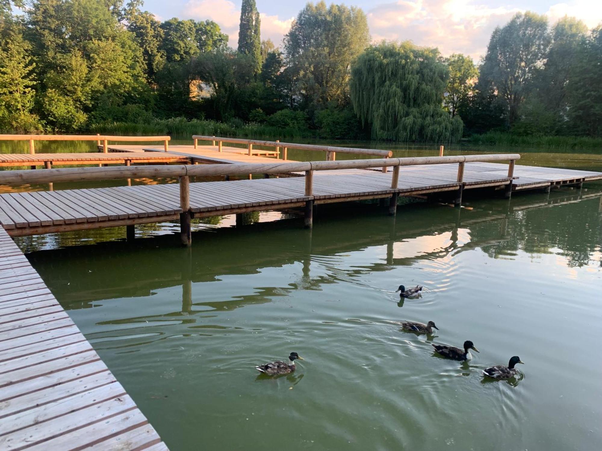 Altstadtloft Straubing Bagian luar foto